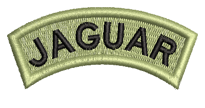 Bordado de jaguar